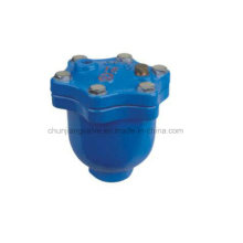 Specialized in Manufacturing Apvx Exhaust Valve